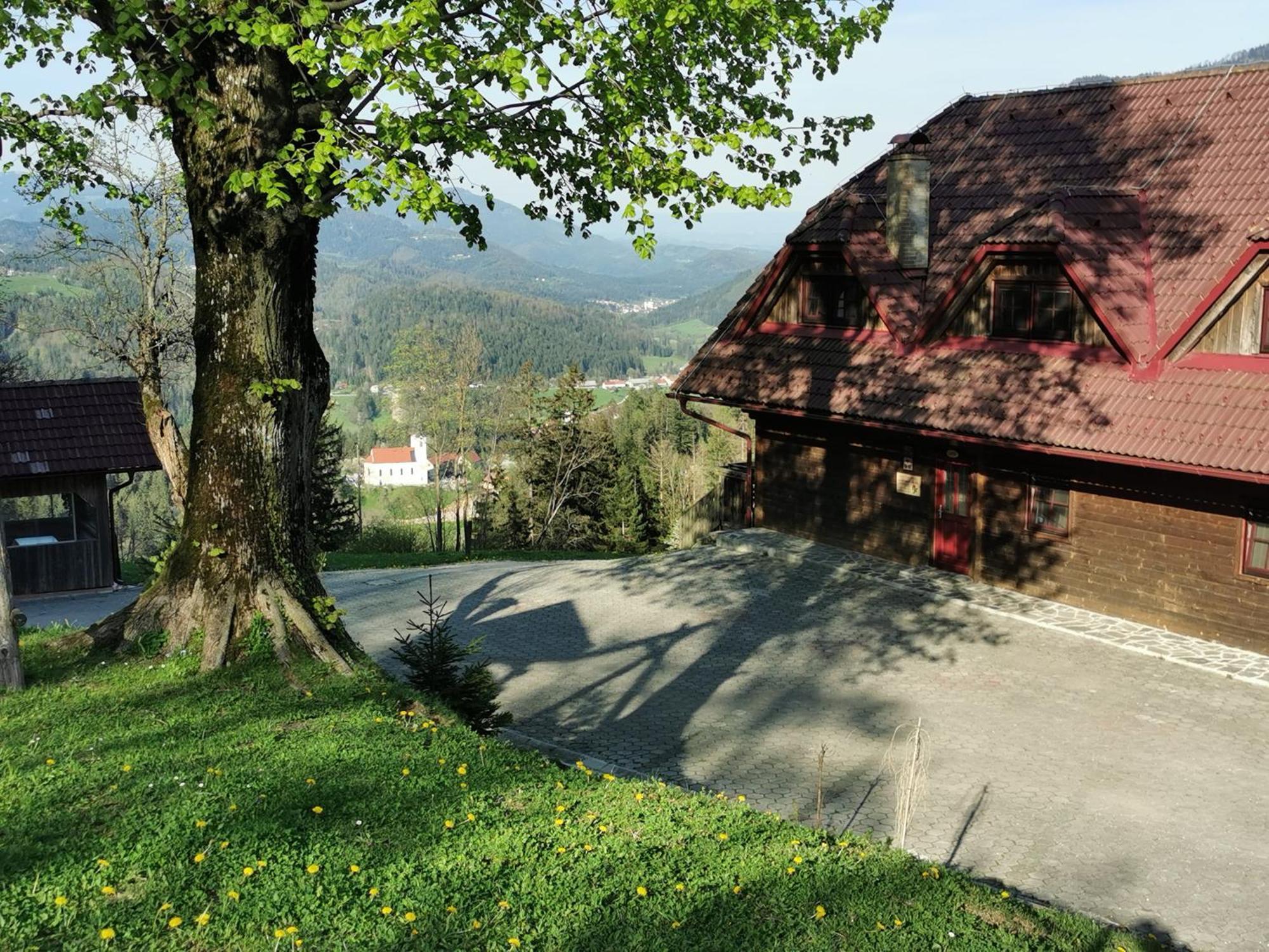 Petek Gornji Grad