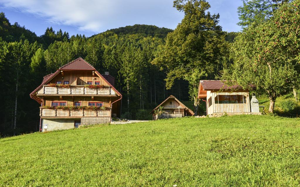 Appartement Petek