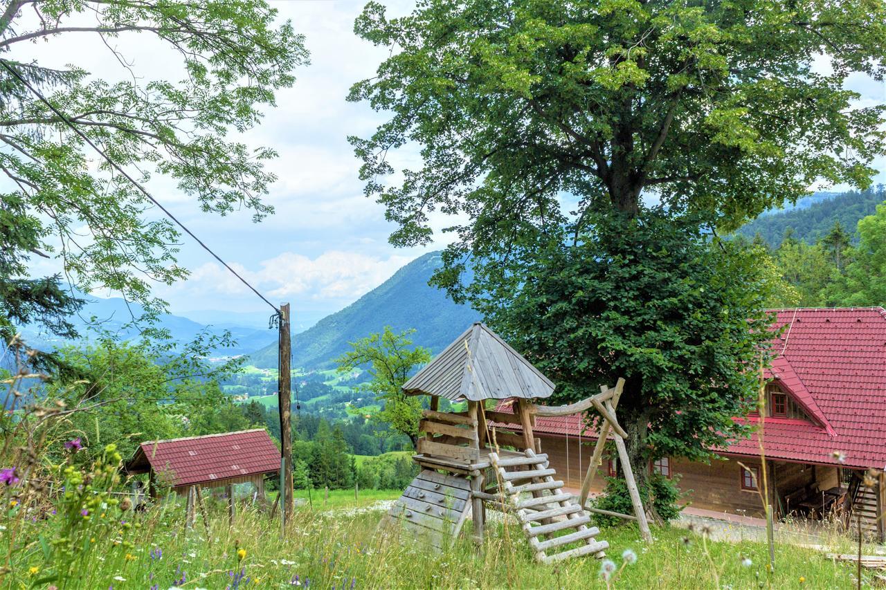 Petek Appartement Gornji Grad