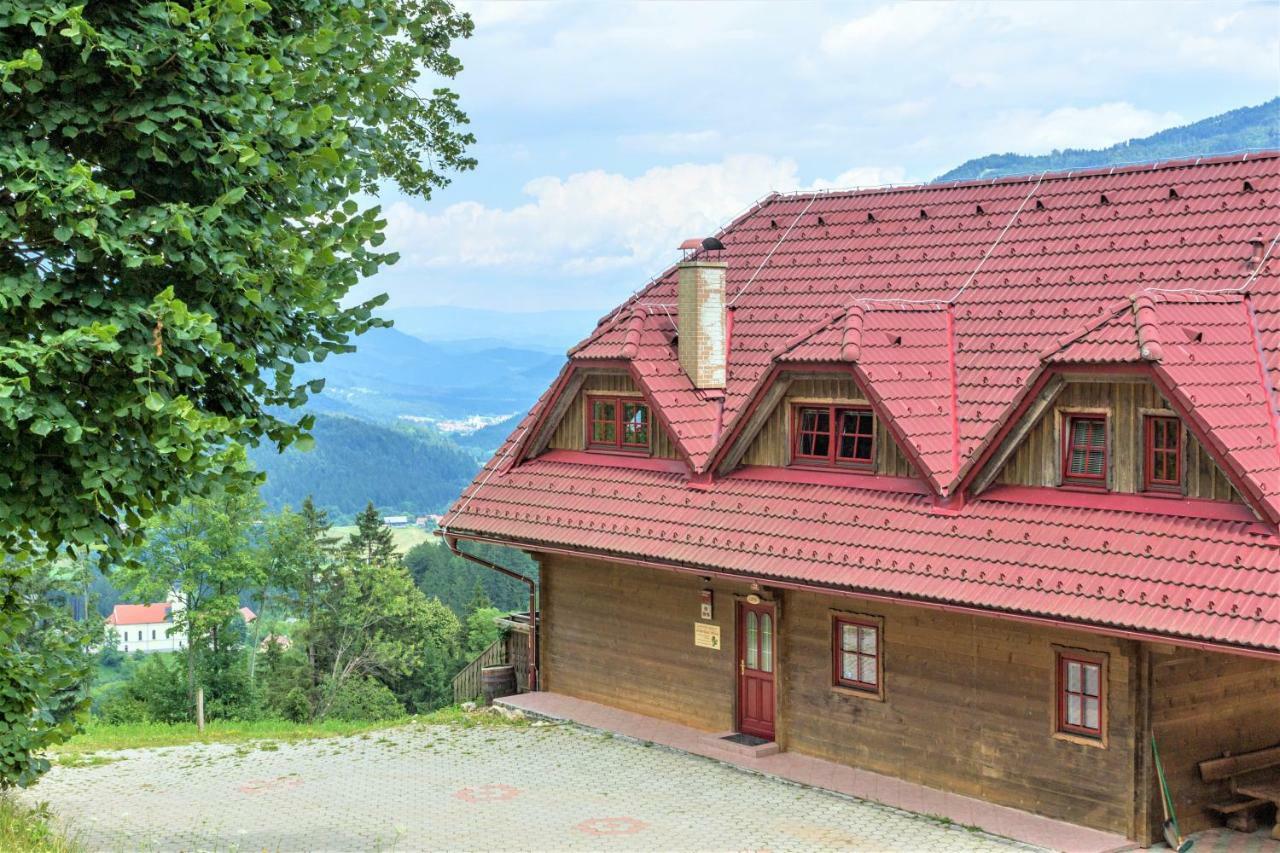 Petek Apartment Gornji Grad